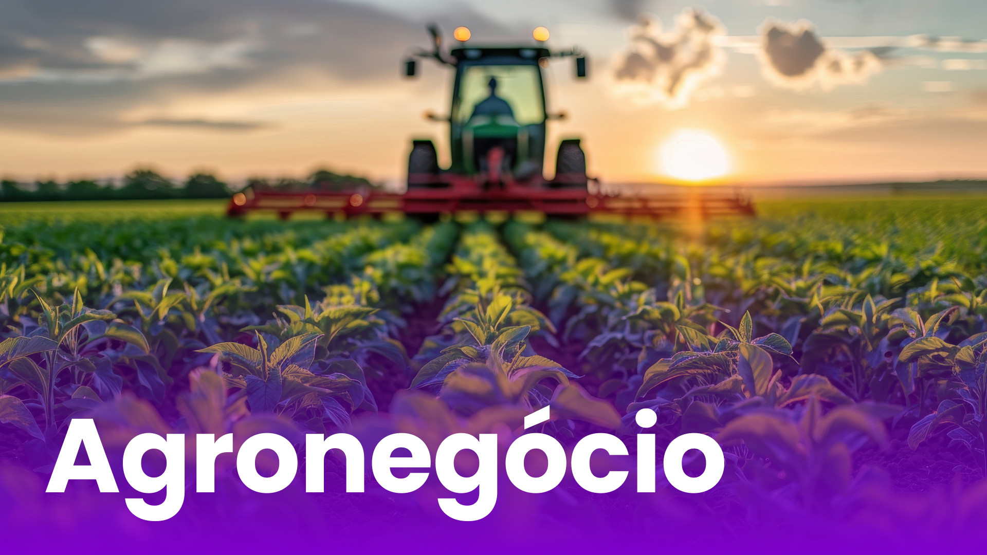 Agronegocio-Capa.jpg