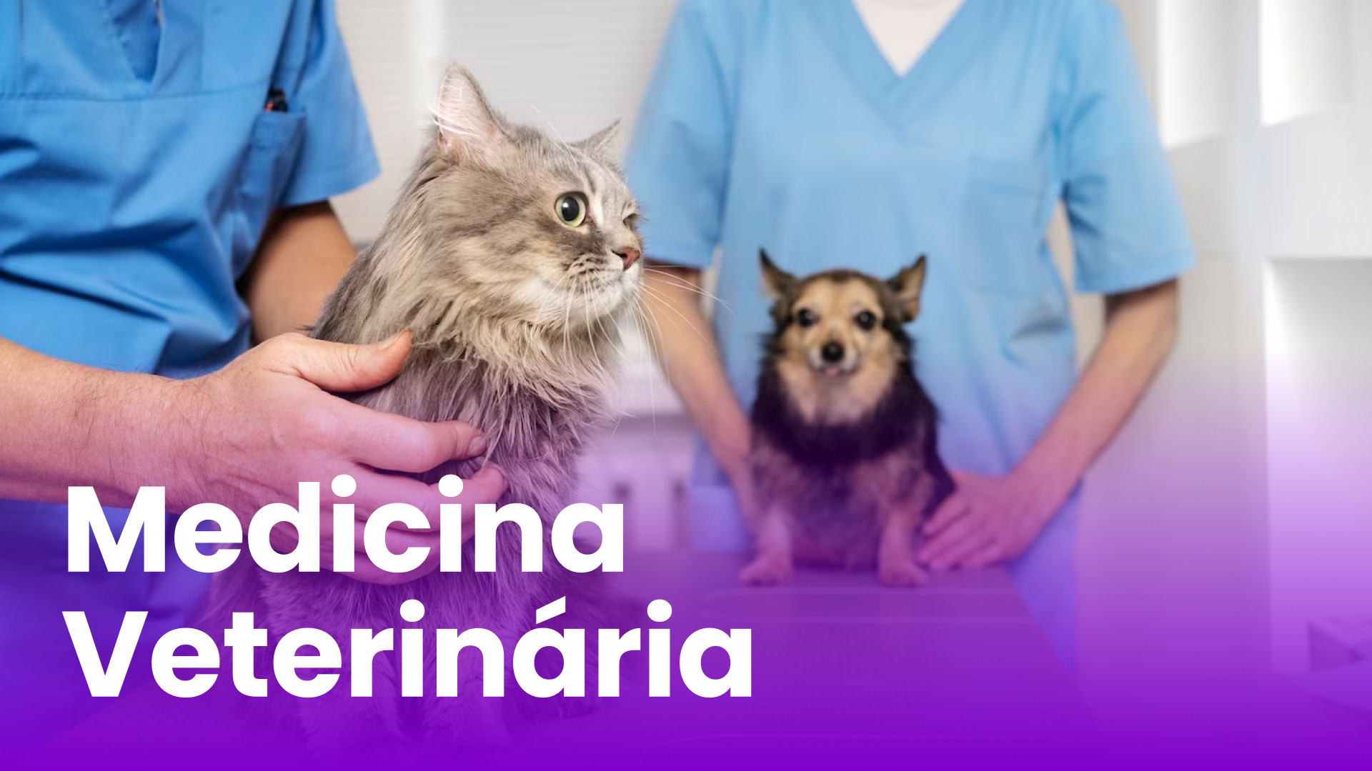 Medicina-Veterinaria.jpg